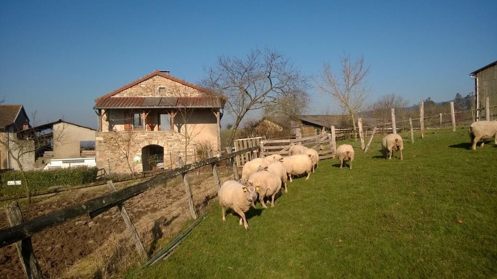 Ferme De La Corbette Bed & Breakfast คลูนี ภายนอก รูปภาพ
